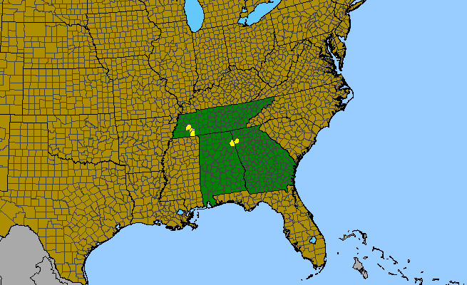 The range of Helianthus verticillatus